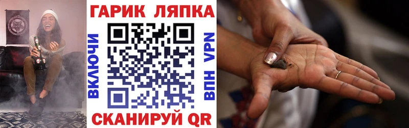 Купить где  Змеиногорск  ГАШ hashish 