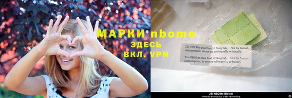 прущие грибы Бронницы