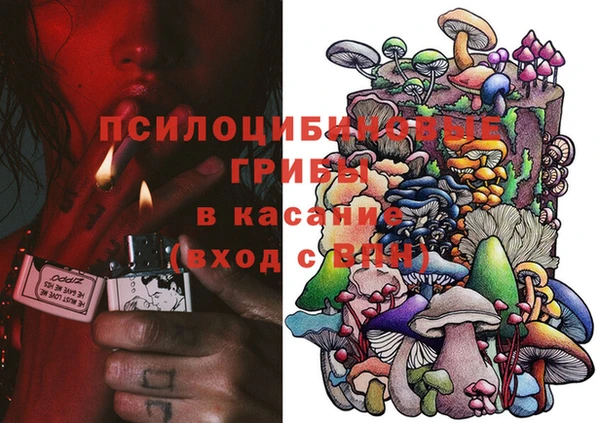 прущие грибы Бронницы