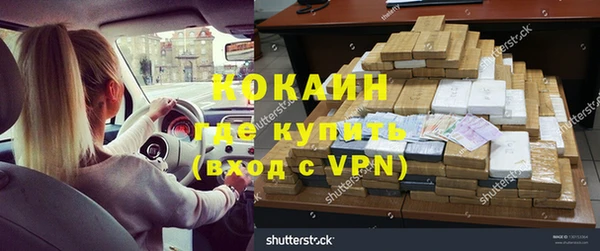 прущие грибы Бронницы