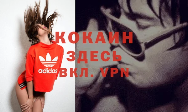 прущие грибы Бронницы