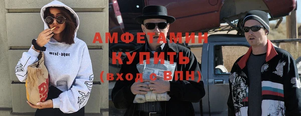 прущие грибы Бронницы
