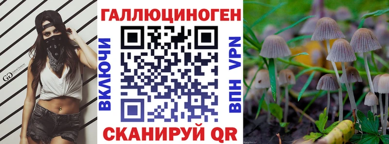 Купить где  Змеиногорск  Псилоцибиновые грибы Magic Shrooms 